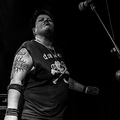 GutterPunk - Professional Concert Photography